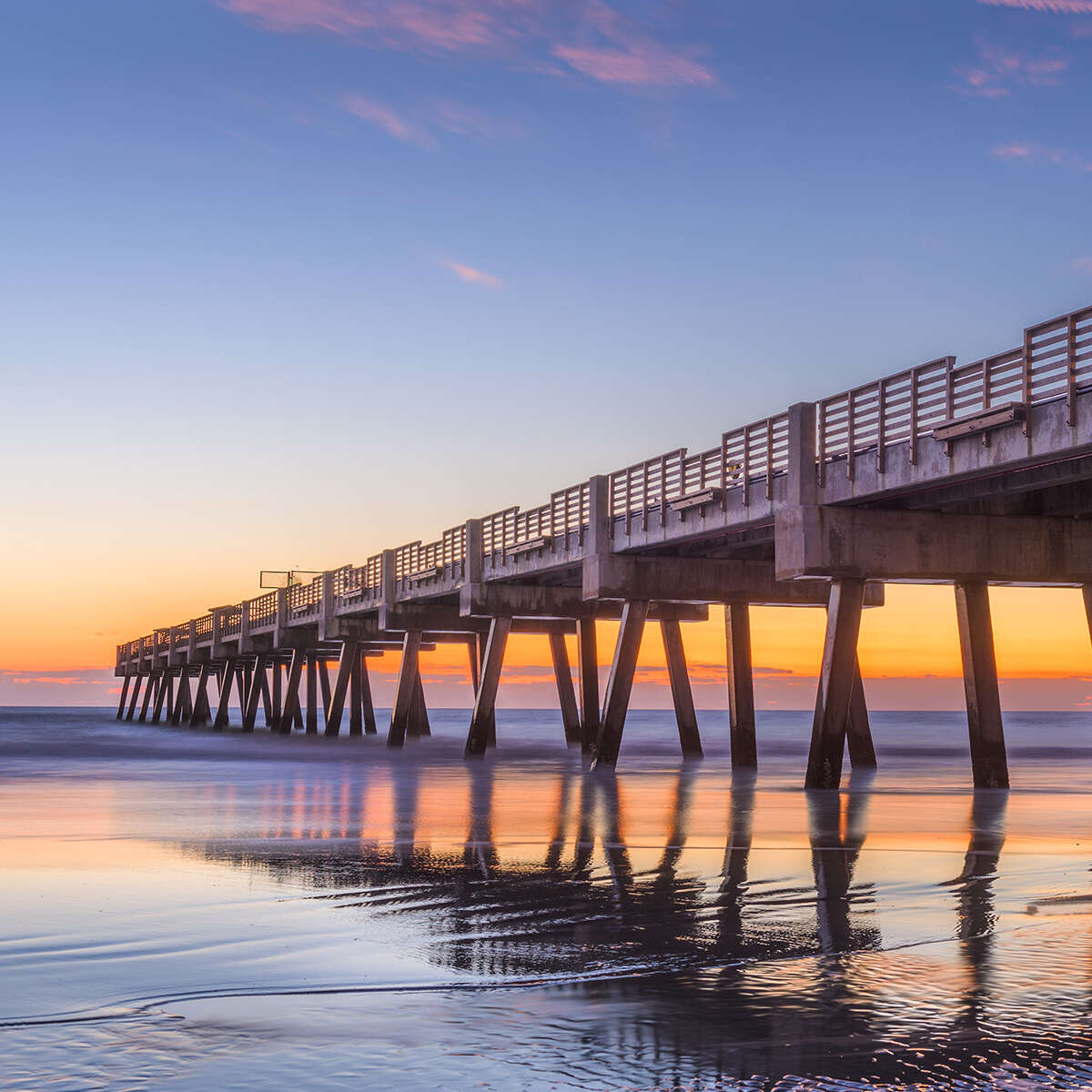 About Tulip Bradenton