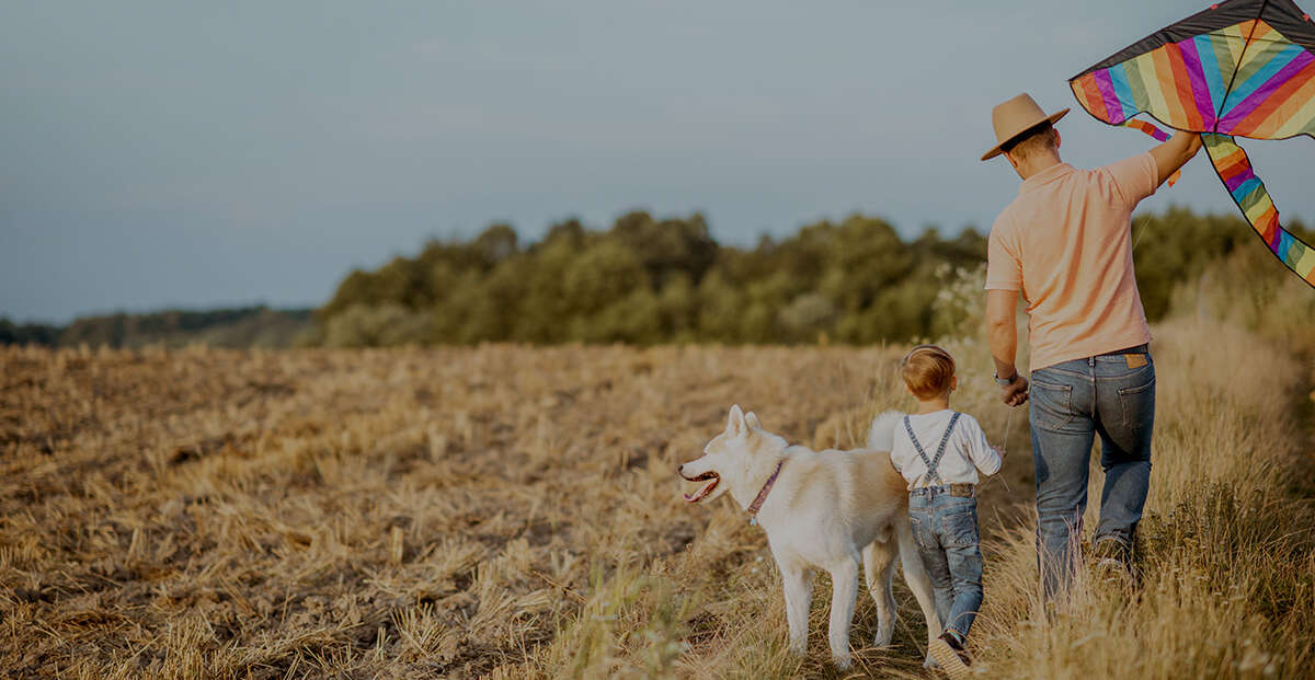 Brighton cremation hero image
