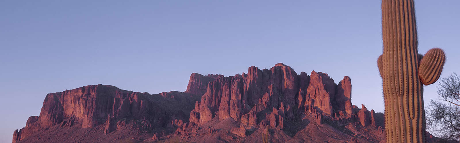 Chandler cremation hero image