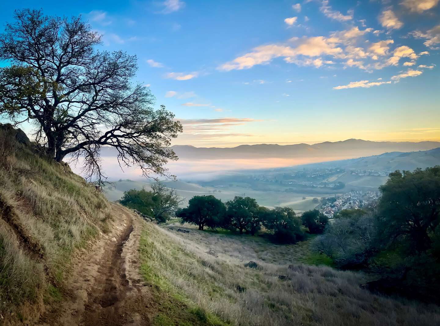 Concord direct cremation