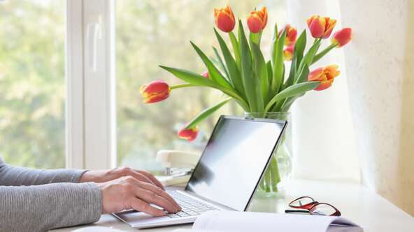 cremation plans Tulip.jpg?sw=592&cx=0&cy=0&cw=6600&ch=3713&q=60