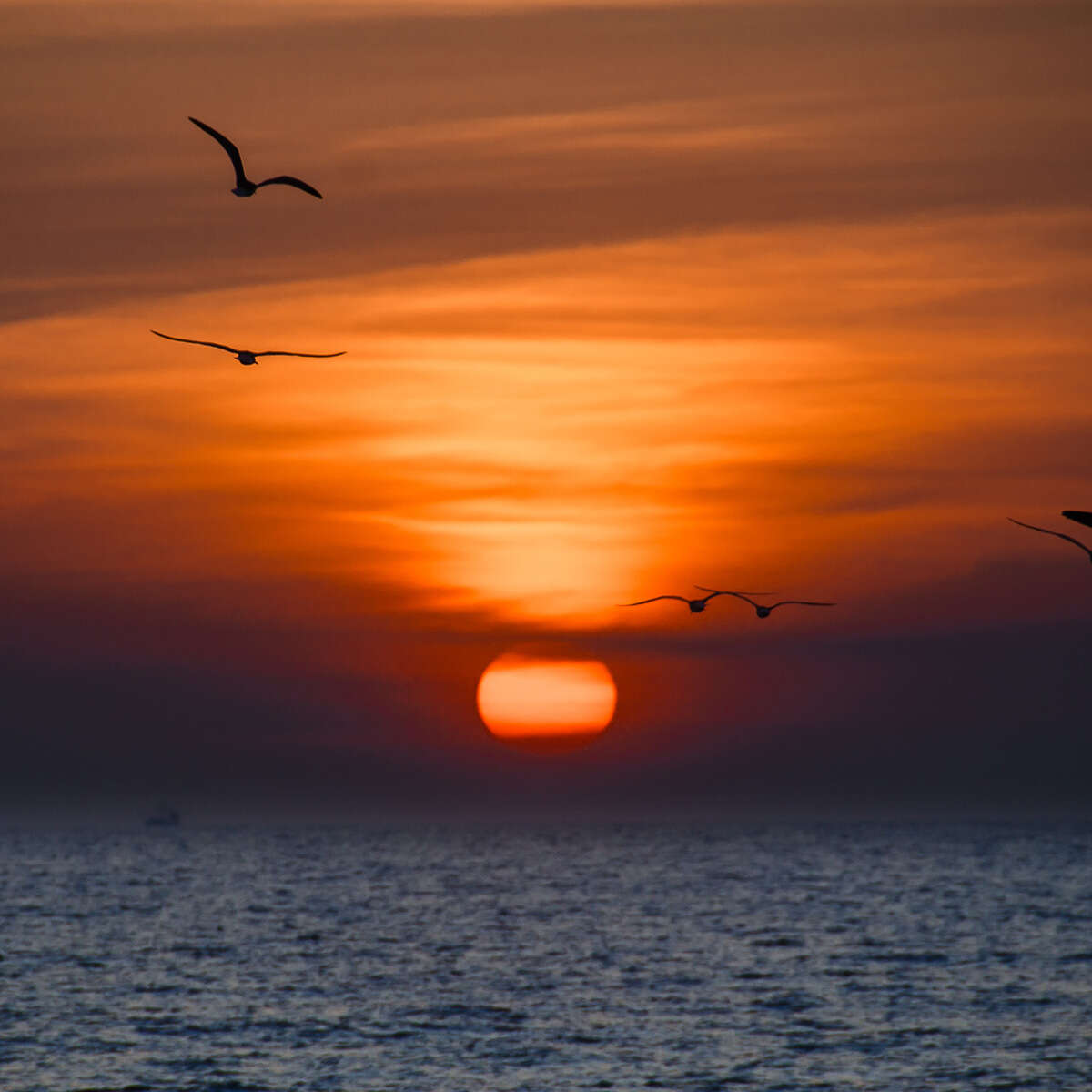 Bonita Springs direct cremation