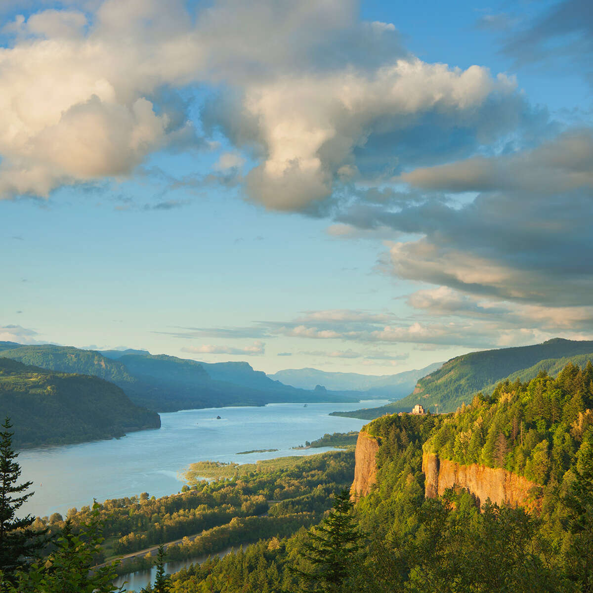 Centennial direct cremation