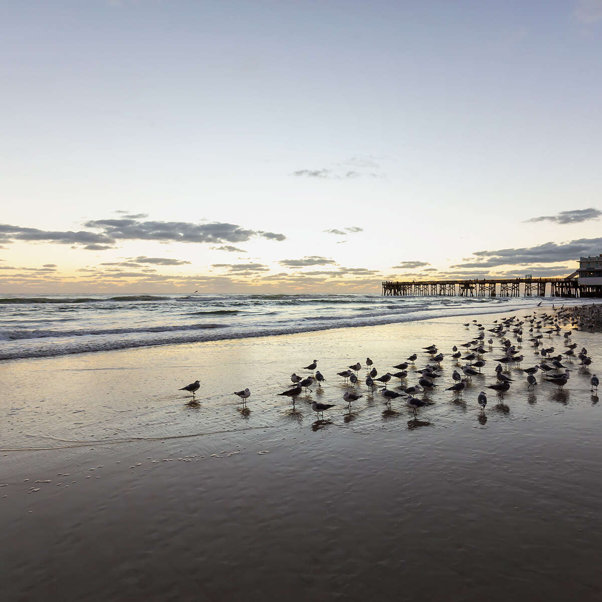 Fort Myers direct cremation