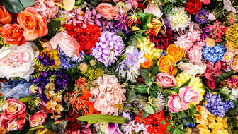 flower-memorials.jpg?sw=336&cx=0&cy=70&cw=1378&ch=780&q=60