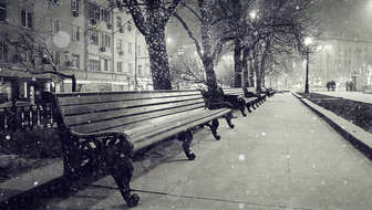 grief-and-holidays.jpg?sw=336&cx=0&cy=131&cw=2592&ch=1466&q=60