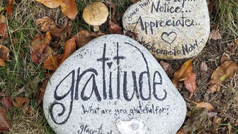 how-gratitude-helps-us-heal.jpg?sw=336&cx=0&cy=402&cw=4032&ch=2280&q=60