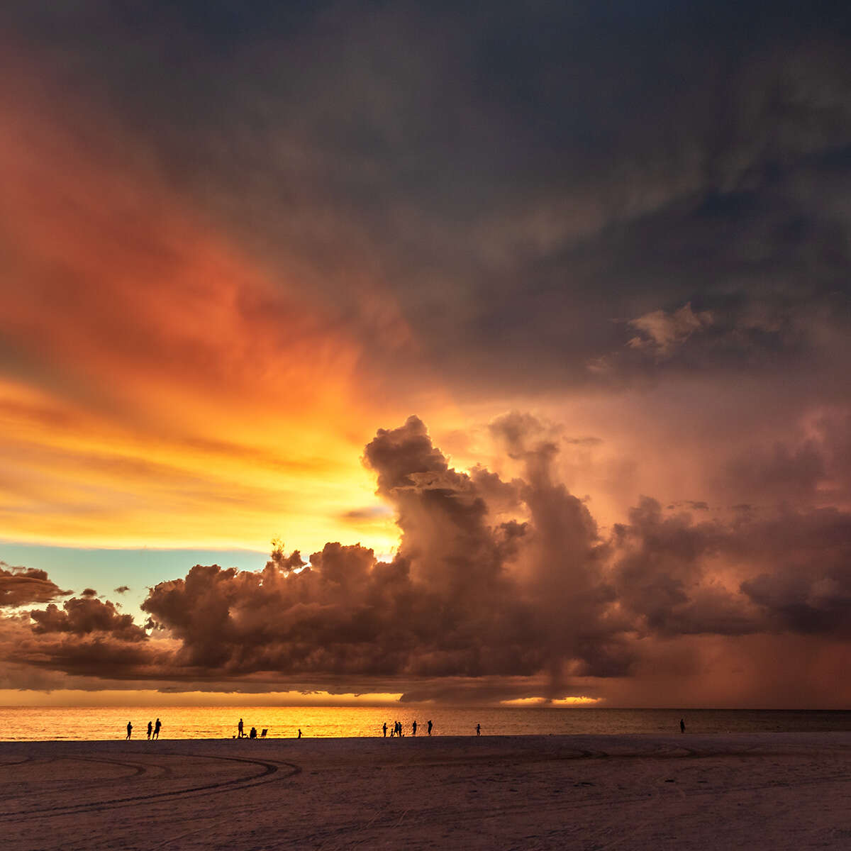 About Tulip Bonita Springs