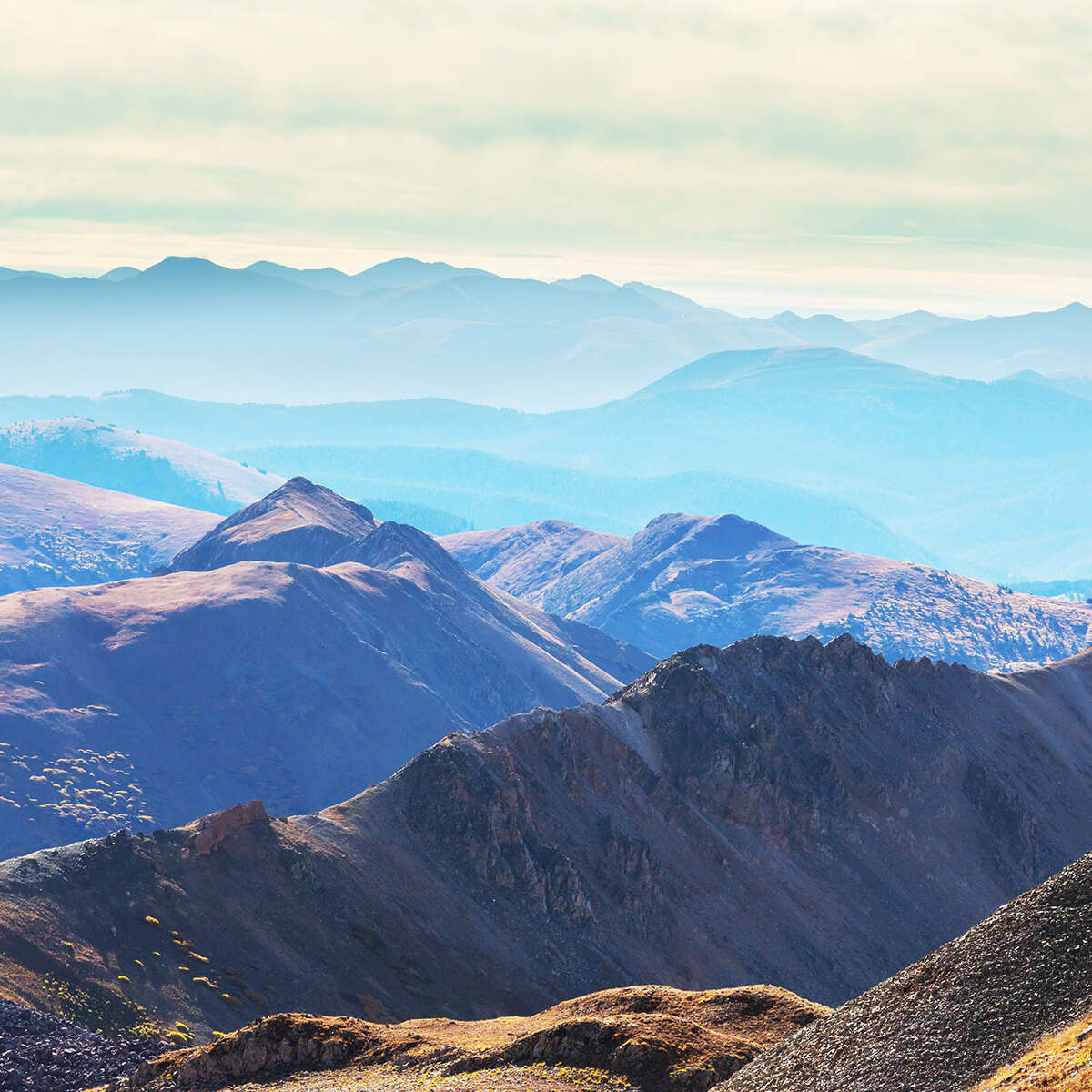 Fort Collins location