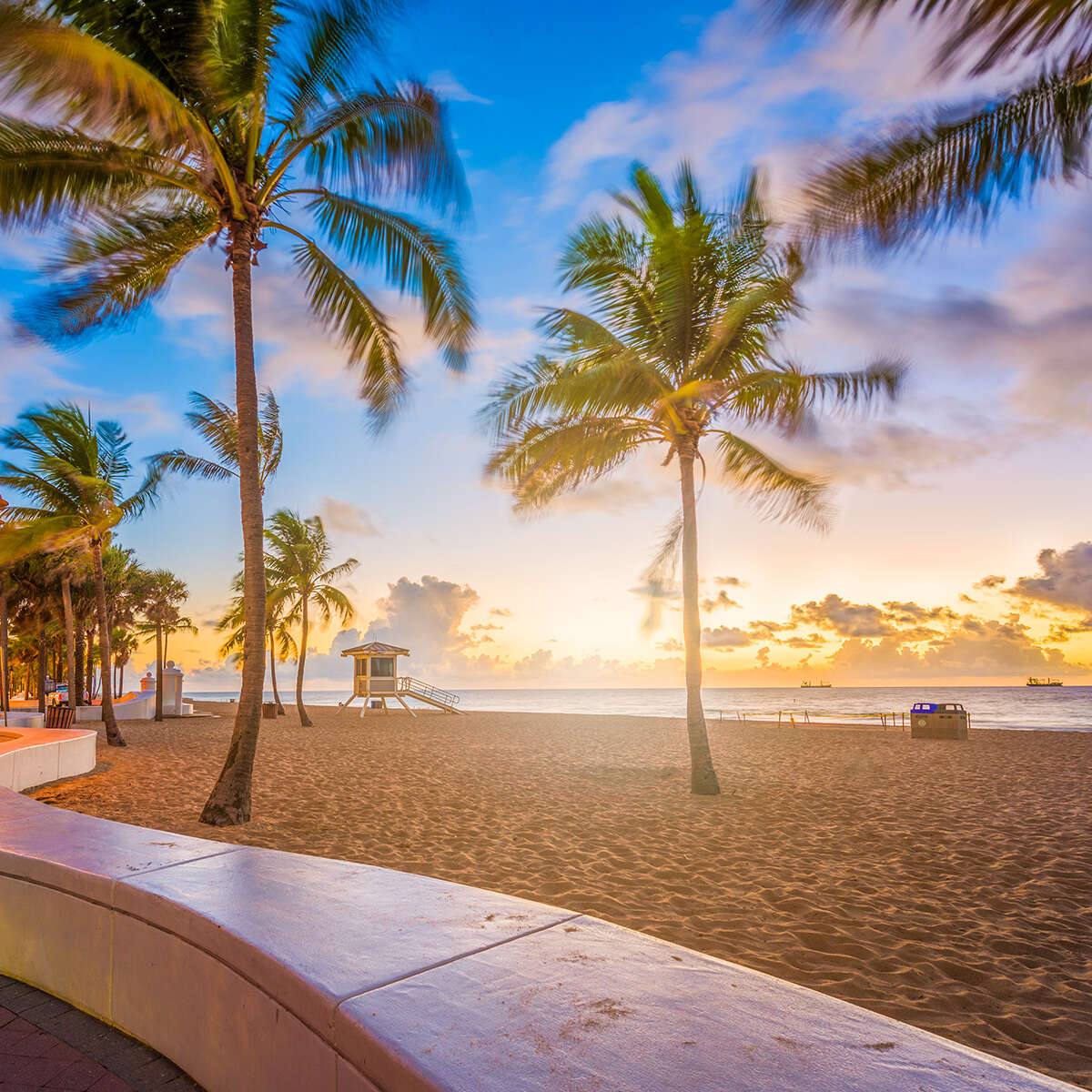 About Tulip Fort Myers