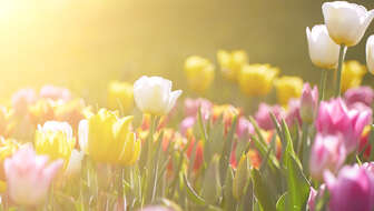 memorial-hero.jpg?sw=336&cx=733&cy=0&cw=1415&ch=800&q=60