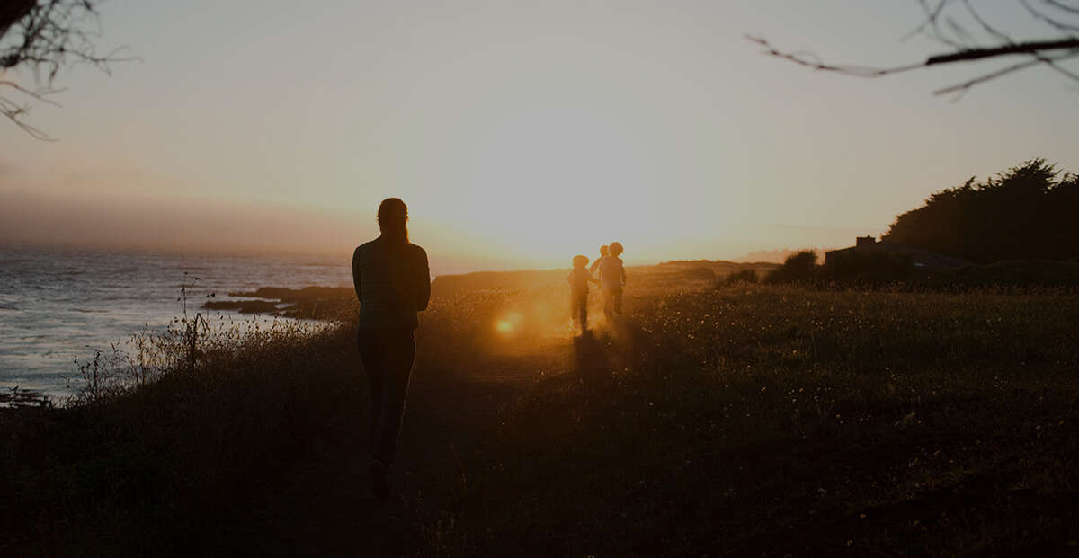 Palmetto cremation hero image