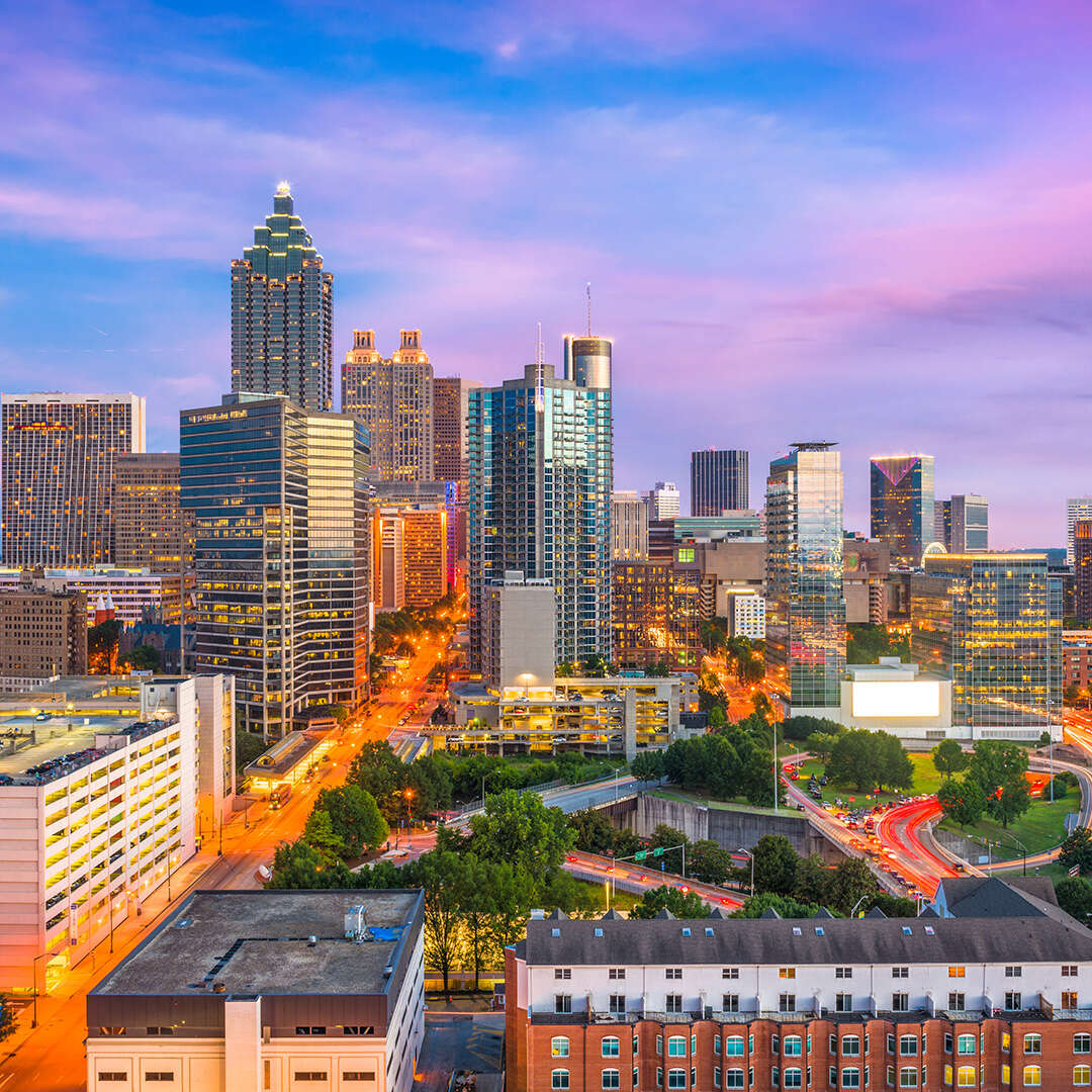 About Tulip Palmetto