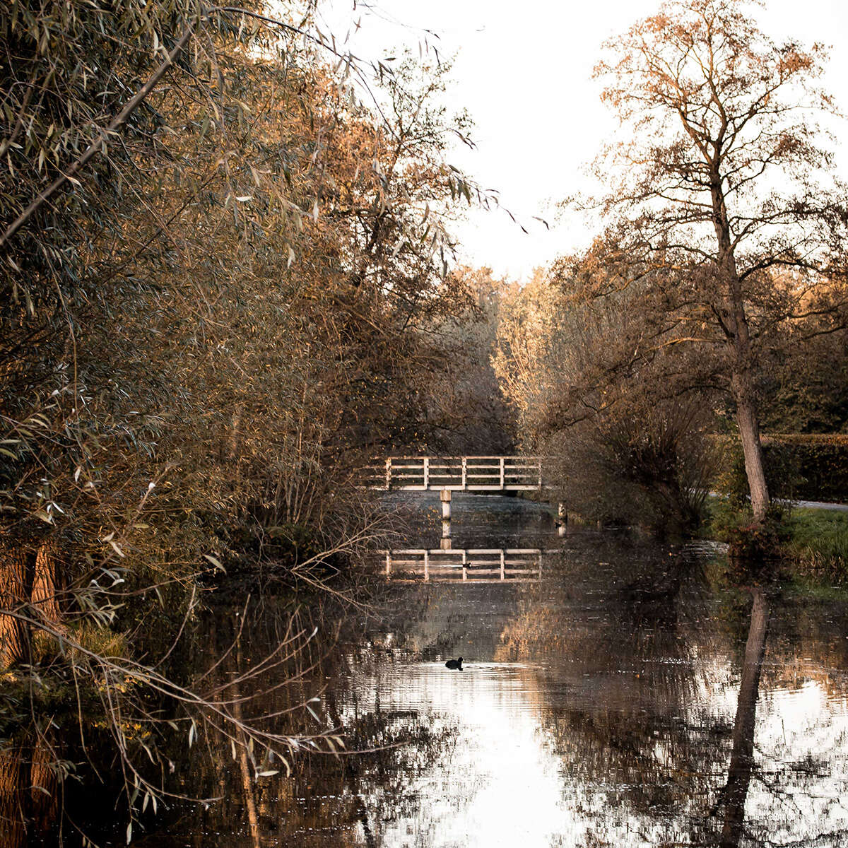 Riverside direct cremation