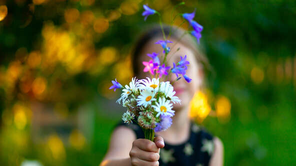 shutterstock_1378589681.jpg?sw=592&cx=0&cy=0&cw=5616&ch=3159&q=60