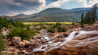 shutterstock_178512500.jpg?sw=336&cx=0&cy=198&cw=5378&ch=3042&q=60