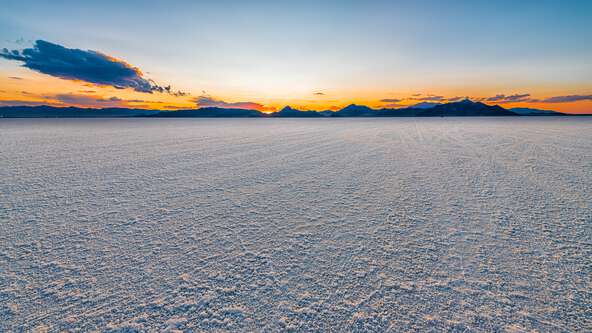 shutterstock_2324500475.jpg?sw=592&cx=0&cy=0&cw=8256&ch=4644&q=60