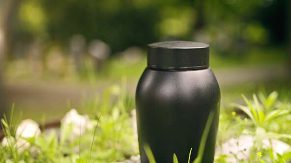 shutterstock_2493436559.jpg?sw=592&cx=0&cy=0&cw=5600&ch=3150&q=60