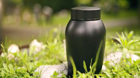 shutterstock_2493436559.jpg?sw=459&cx=0&cy=526&cw=5600&ch=3148&q=60