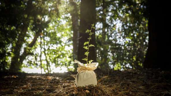 Terramation - Photo - 1610 (1200x750).jpg?sw=592&cx=0&cy=0&cw=1200&ch=675&q=60