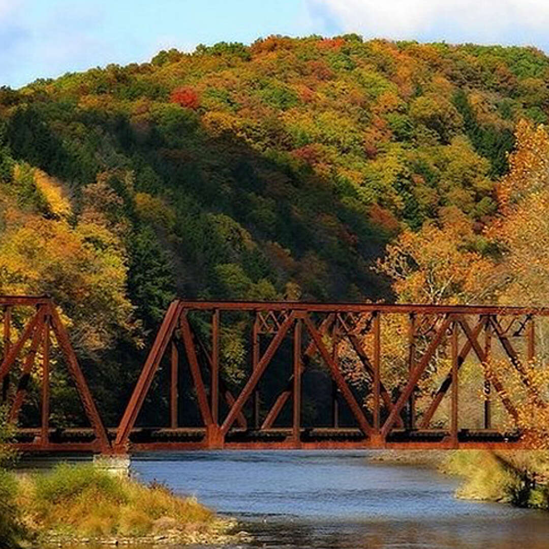 About Tulip Titusville