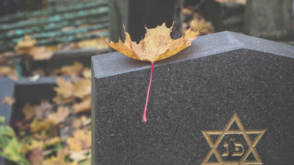 Tulip Jewish Funerals.jpg?sw=592&cx=0&cy=0&cw=5178&ch=2913&q=60