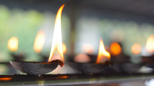 Tulip World Religions.jpg?sw=592&cx=0&cy=0&cw=2452&ch=1380&q=60