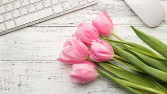 Tulip-Banner.jpg?sw=336&cx=0&cy=296&cw=5793&ch=3276&q=60