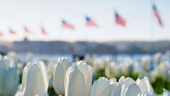 veterans-hero.jpg?sw=336&cx=733&cy=0&cw=1415&ch=800&q=60