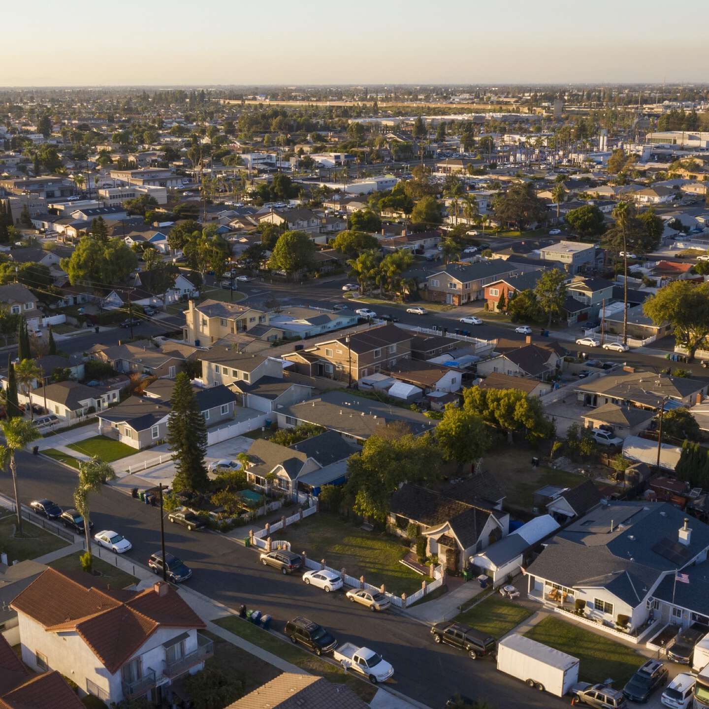 Westminster direct cremation