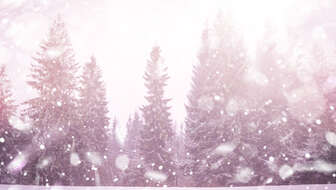 winter-memorials.jpg?sw=336&cx=0&cy=239&cw=4928&ch=2787&q=60