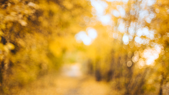 blurry-fall.png?sw=336&cx=77&cy=0&cw=1180&ch=667&q=60