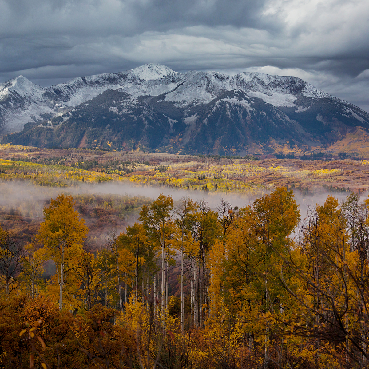 Columbine direct cremation