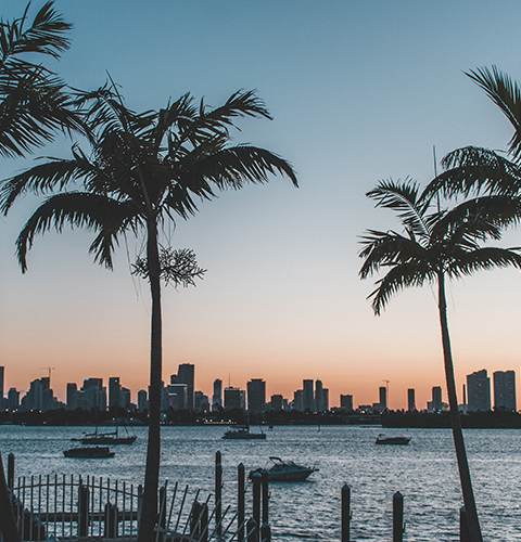 Lakeland direct cremation