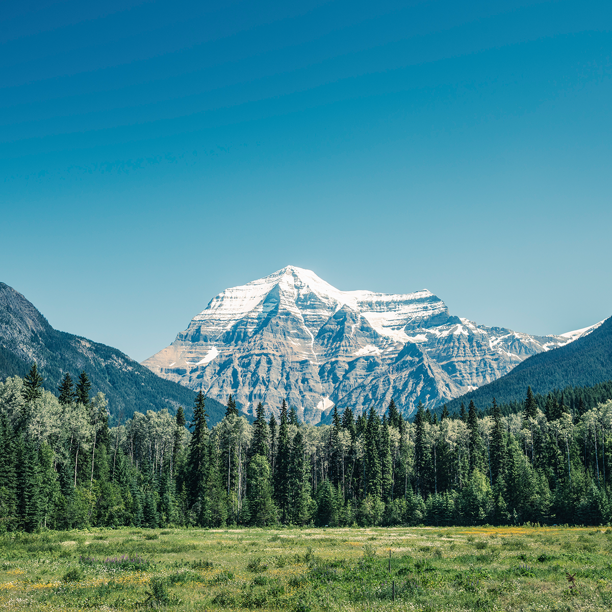 Littleton direct cremation