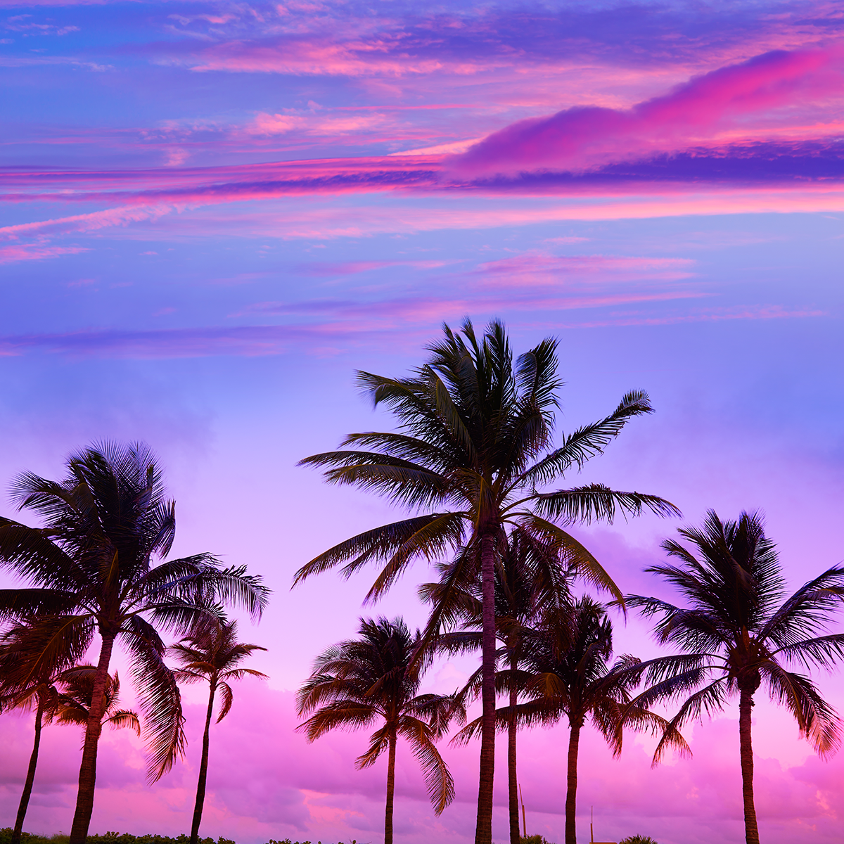 Marco Island direct cremation