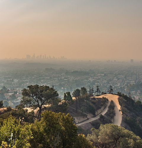 Modesto direct cremation