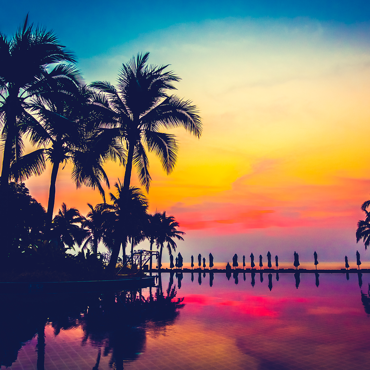 Port Richey direct cremation