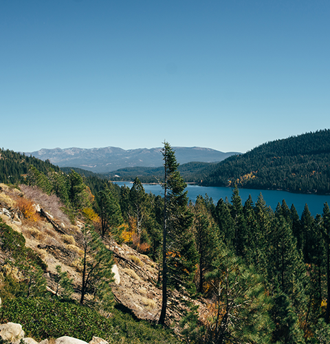 Santa Rosa direct cremation