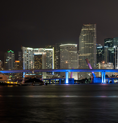 St. Petersburg direct cremation