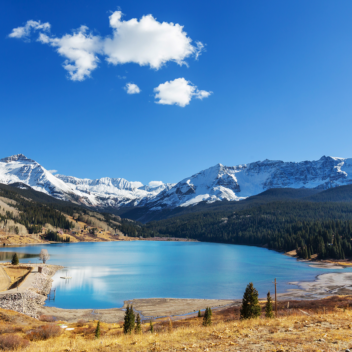 Windsor direct cremation