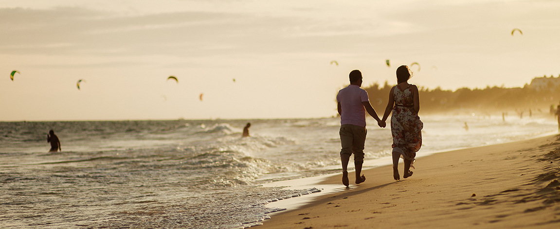 Tampa cremation hero image