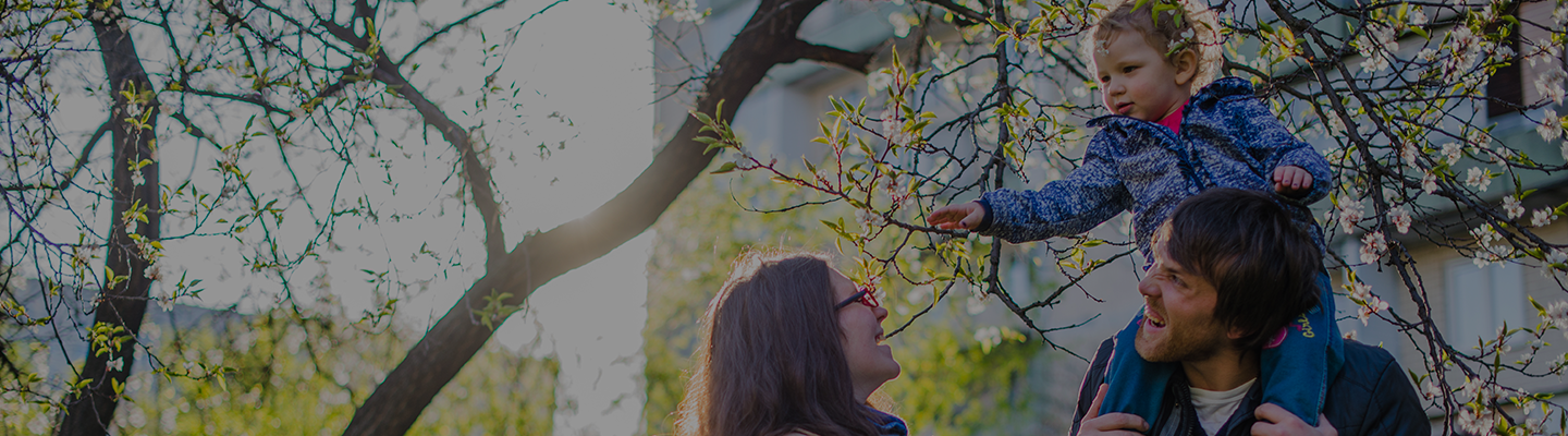 Johnstown cremation hero image