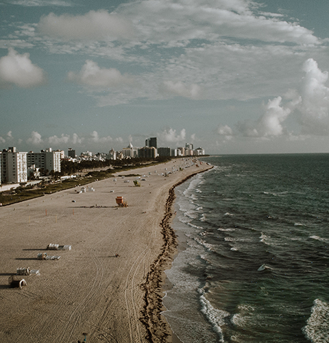 Brandon direct cremation