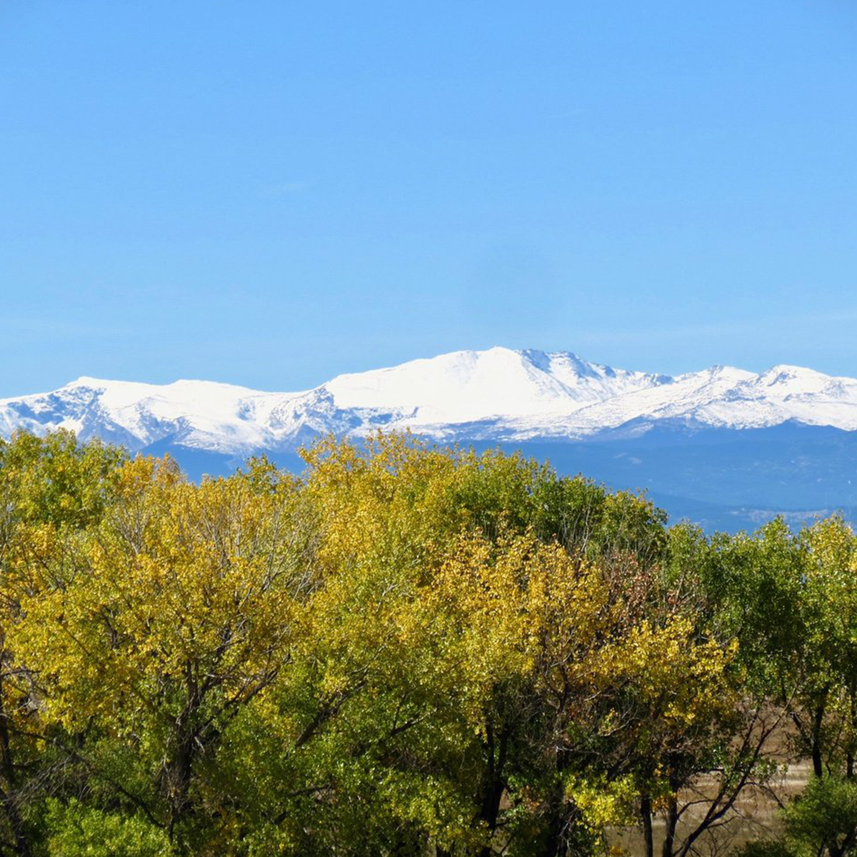 Commerce City location