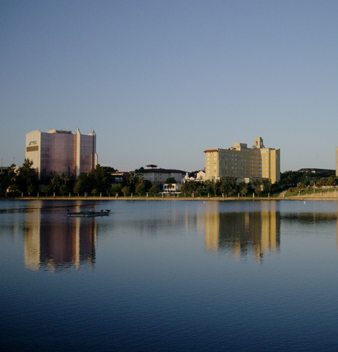 About Tulip Lakeland