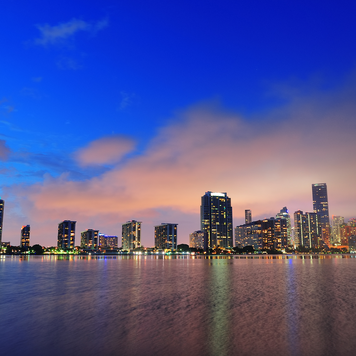 About Tulip Marco Island