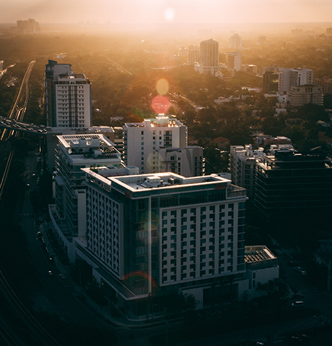 About Tulip St. Petersburg