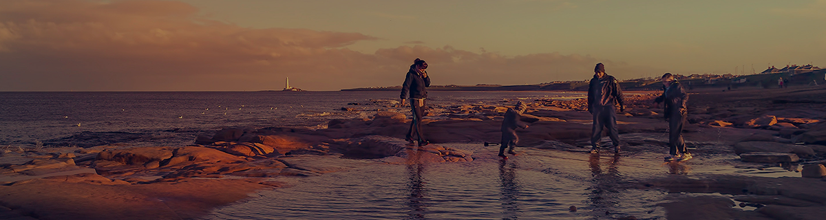 Santa Ana cremation hero image