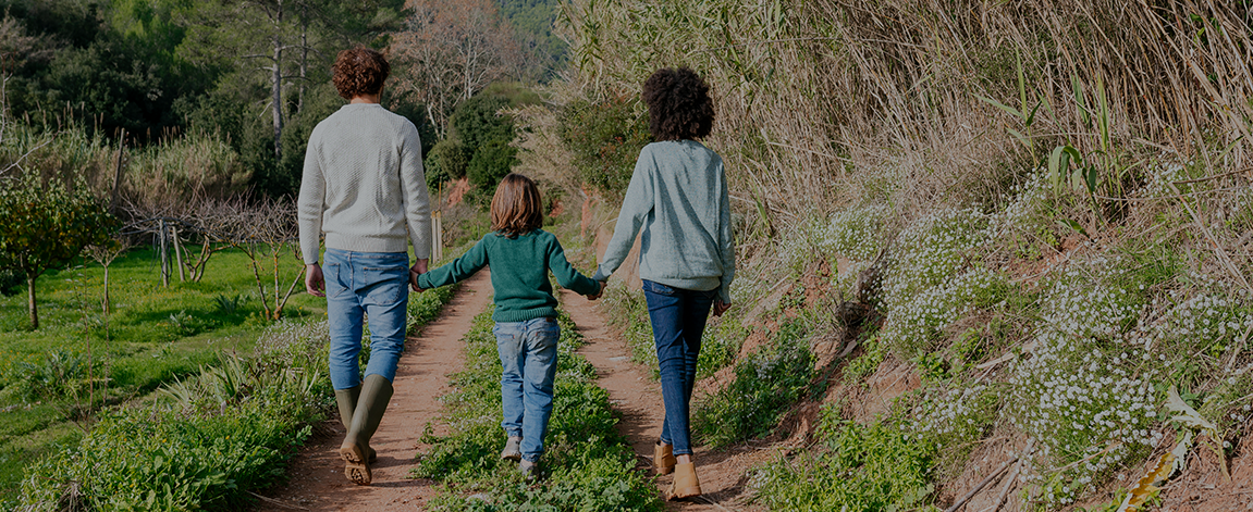 Sarasota cremation hero image